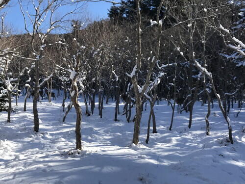 2026年01月18日 06.jpg