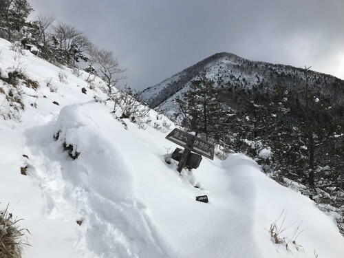 2026年01月18日 27.jpg