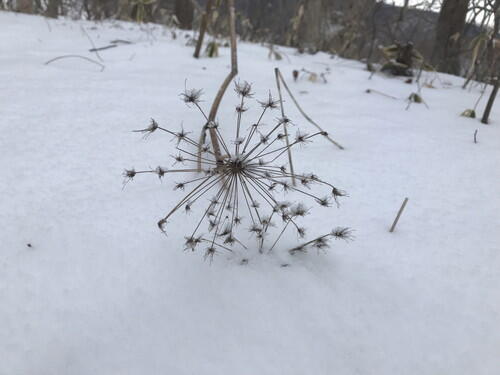 2026年01月23日 03.jpg