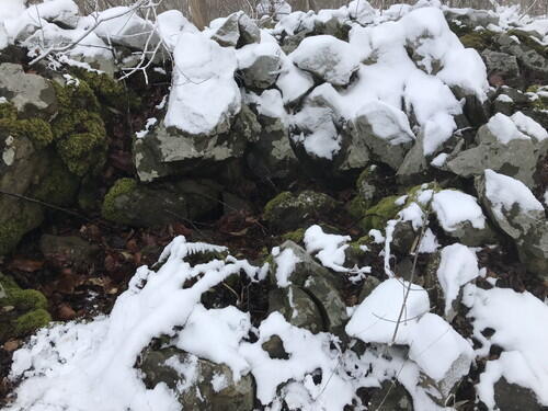 2026年01月23日 04.jpg