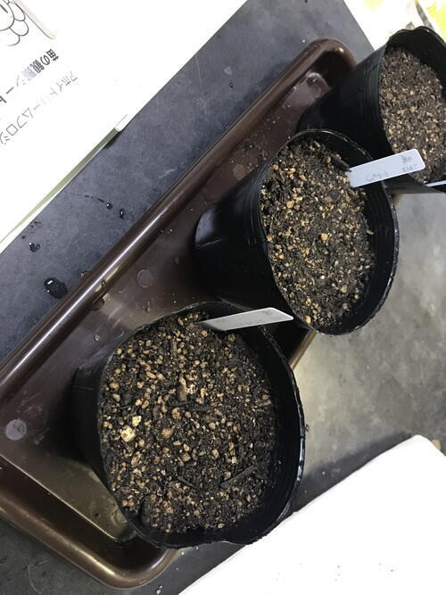 2026年01月19日 02.jpg