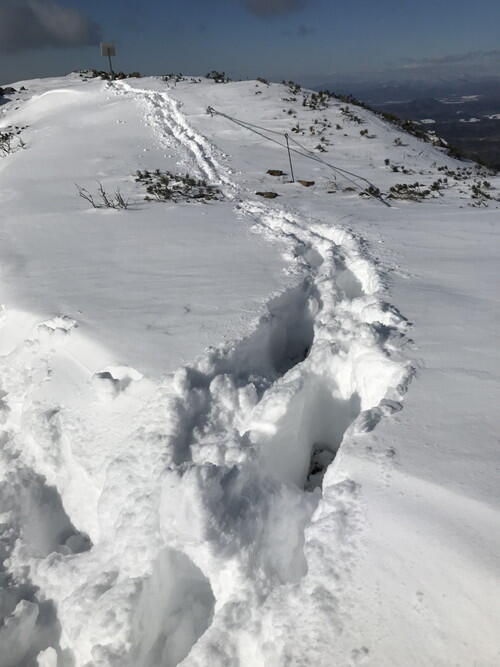 2026年01月18日 25.jpg