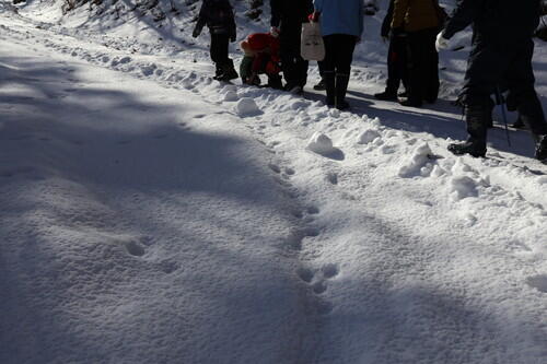 2026年02月07日 02.jpg