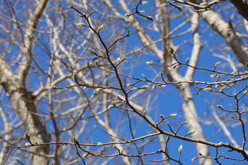 2026年02月07日 05.jpg